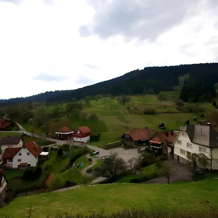Paula Holiday home Forbach